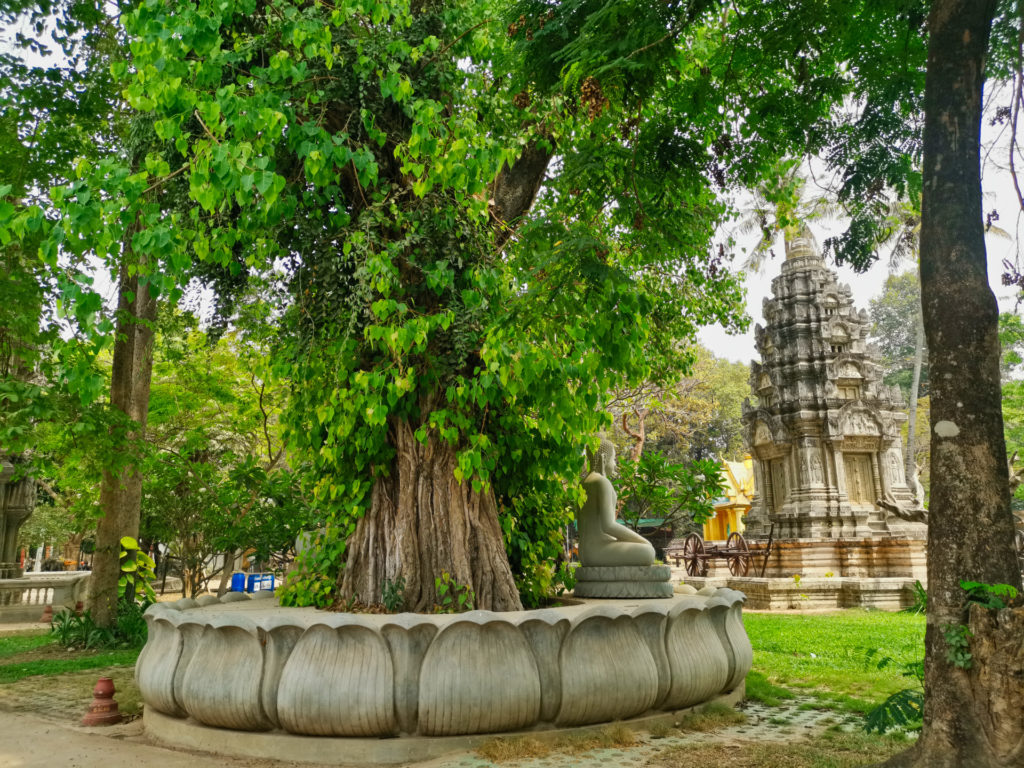 Baum Wat Damnak
